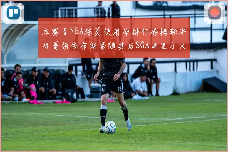 本赛季NBA球员使用率排行榜揭晓字母哥领衔布朗紧随其后SGA库里小火车紧追不舍