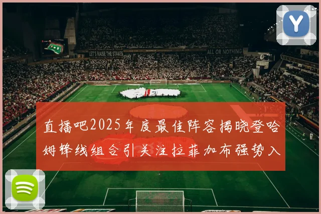 直播吧2025年度最佳阵容揭晓登哈姆锋线组合引关注拉菲加布强势入选