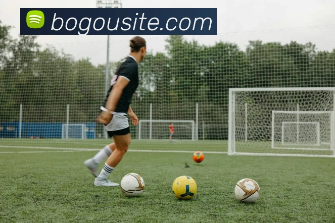 App Interface Preview